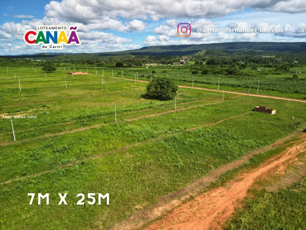 Vias de terra e árvores entre os terrenos do Loteamento Canaã II