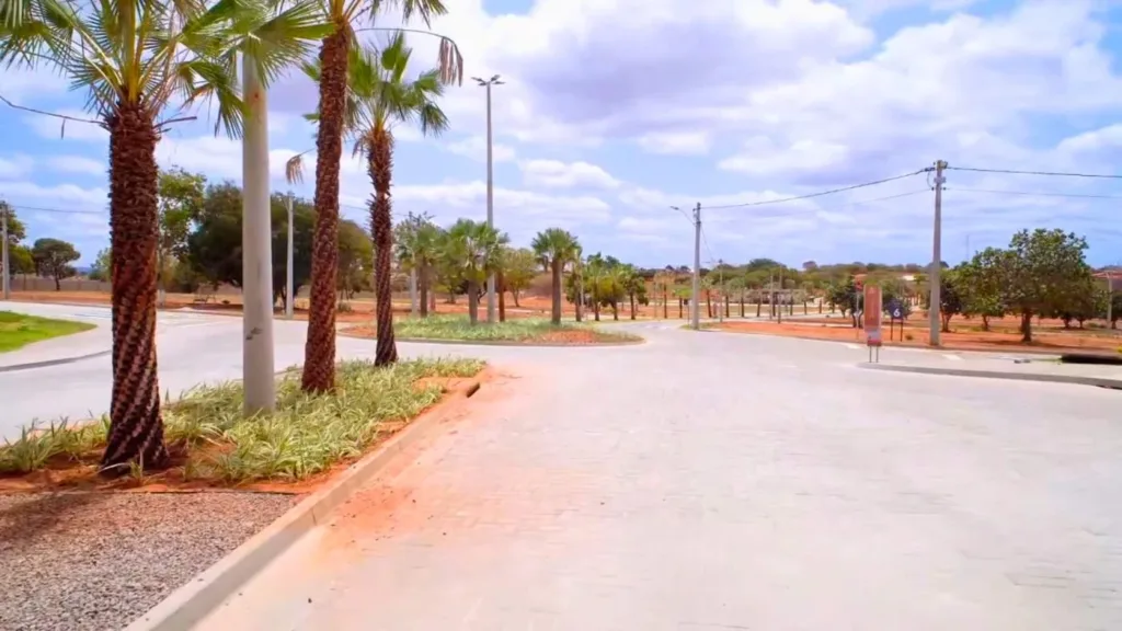 Vias internas e paisagismo com palmeiras do Conviver Riviera