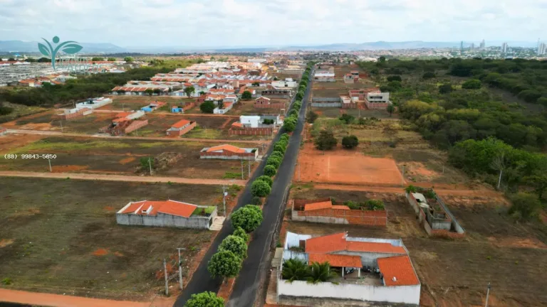Vista aérea da avenida arborizada e dos terrenos do Jardim dos Araçás, em Barbalha