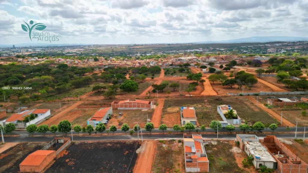 Avenida arborizada, terrenos e vegetação no entorno do Jardim dos Araçás